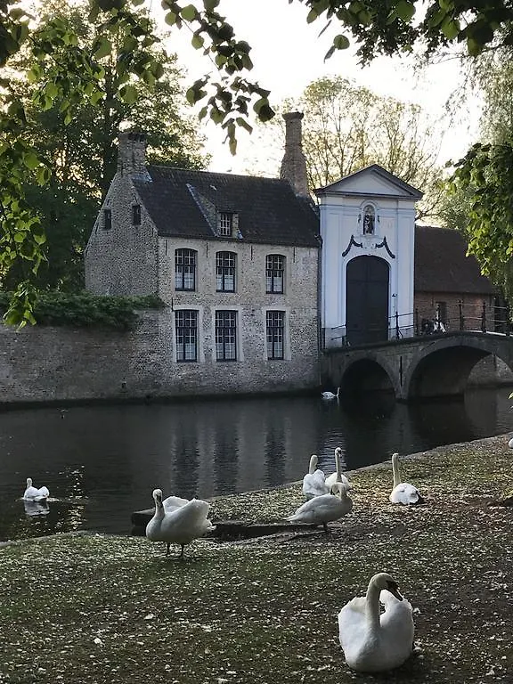 Odevaere - Charming & Luxurious Apartment With Terrace Bruges