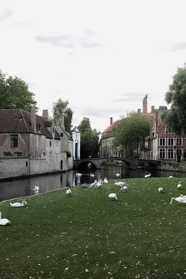 Odevaere - Charming & Luxurious Apartment With Terrace Bruges